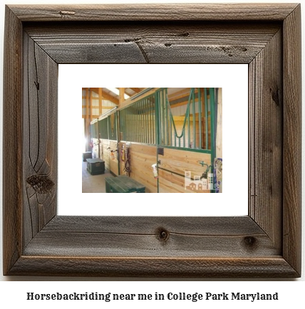 horseback riding near me in College Park, Maryland